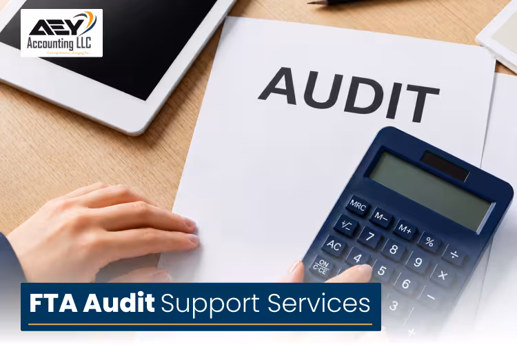 FTA Audit Support Services
