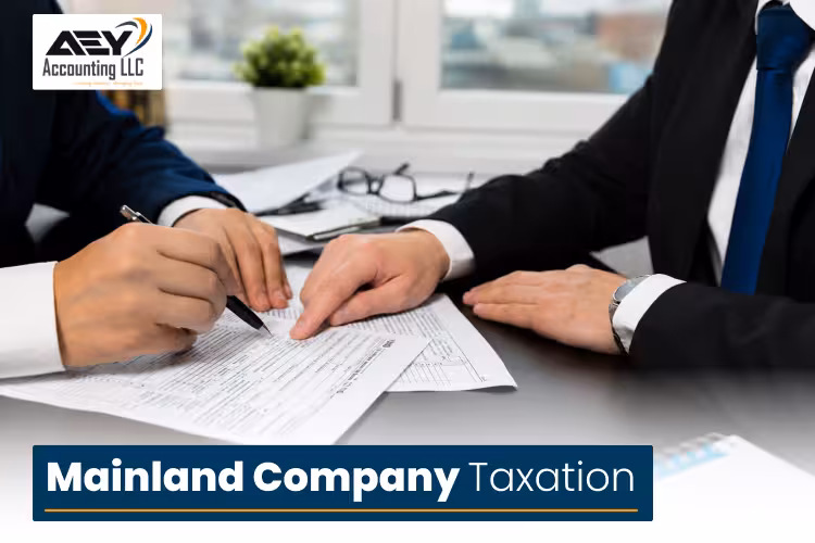 Mainland Company Taxation